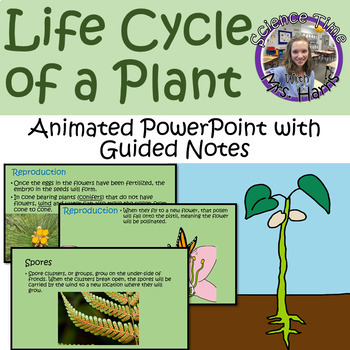 Preview of Life Cycle of a Plant ANIMATED PowerPoint with Guided Notes