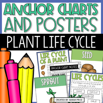 Active Anchor Chart Life Cycle - TreeTopSecret Education