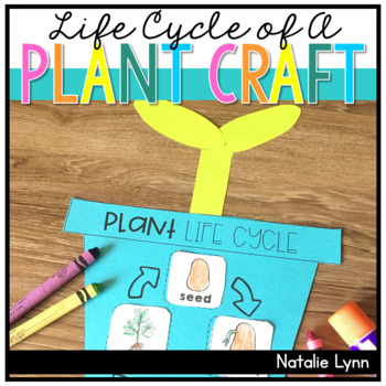 Life Cycle of a Plant Craft by Natalie Lynn Kindergarten | TpT