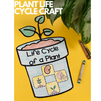 Life Cycle of a Plant Craft by Kindergarten Kitties | TPT