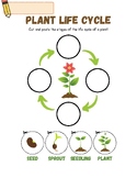 Life Cycle of a Plant: Cut and Paste
