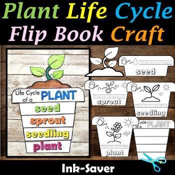 Preview of Life Cycle of a Plant Flip book Craft, Lifecycle Sequencing & Color Activity