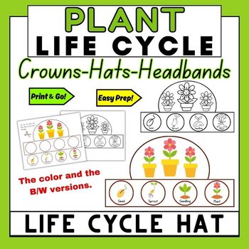 Preview of Life Cycle of a Plant Hat Crown Craft, Lifecycle Sequencing Activity | Hat