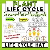 Life Cycle of a Plant Hat Crown Craft, Lifecycle Sequencin