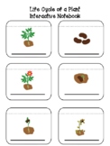 Life Cycle of a Plant | Interactive Notebook | Manipulatives | Science