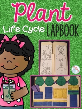 Preview of Life Cycle of a Plant Lapbook {with 10 foldables} Flower Life Cycle INB
