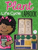Life Cycle of a Plant Lapbook {with 10 foldables} Flower L