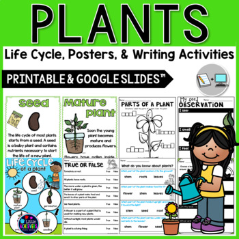 Preview of Life Cycle of a Plant - Plant Life Cycle, Parts of a Plant and Its Needs