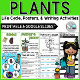 Life Cycle of a Plant - Plant Life Cycle, Parts of a Plant