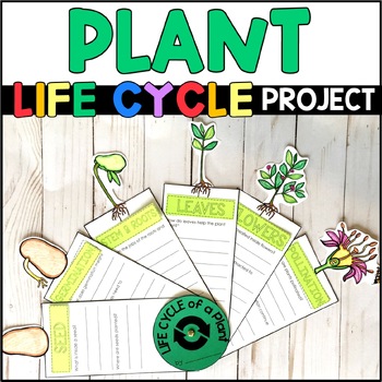 Preview of Life Cycle of a Plant Project - Plant Research - Craft