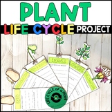 Life Cycle of a Plant Project - Plant Research - Craft
