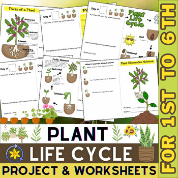 Preview of Life Cycle of a Plant Project and Worksheets | Parts of a Plant | Plants Unit