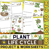 Life Cycle of a Plant Project and Worksheets | Parts of a 