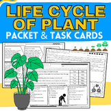 Life Cycle of a Plant: Reading Packet, Worksheets, Vocabul
