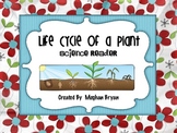 Life Cycle of a Plant {Science Mini-Book}