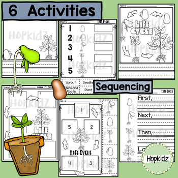 Life Cycle of a Plant, Sequencing, Emergent Reader, Seed to Plant ...