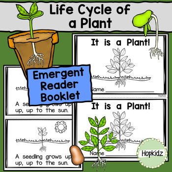 Preview of Life Cycle of a Plant, Sequencing, Emergent Reader, Seed to Plant, Plant Writing
