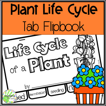 Life Cycle of a Spider Tab Flip book - Classful