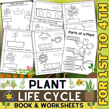 Preview of Life Cycle of a Plant Worksheets | Parts of a Plant | Cut & Paste | Plants Unit