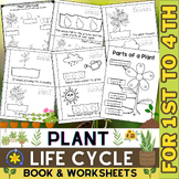 Life Cycle of a Plant Worksheets | Parts of a Plant | Cut 