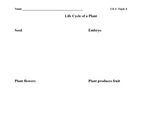 Life Cycle of a Plant activity sheet