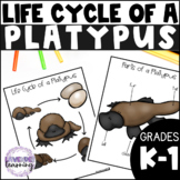 Life Cycle of a Platypus Activities, Worksheets, Booklet -
