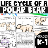 Life Cycle of a Polar Bear Activities, Worksheets, Book - 