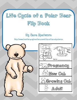 Life Cycle Of A Polar Bear Flip Book By Sara Ipatenco Tpt