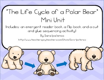 Life Cycle Of A Polar Bear Mini Unit By Sara Ipatenco Tpt