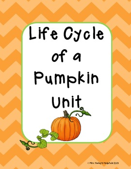 Preview of Life Cycle of a Pumpkin