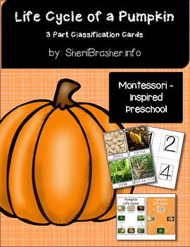 Preview of Life Cycle of a Pumpkin | 3 Part Cards PreK | English