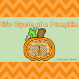 Life Cycle of a Pumpkin Sequence for Remote Learning