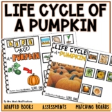 Life Cycle of a Pumpkin- Adapted Book 