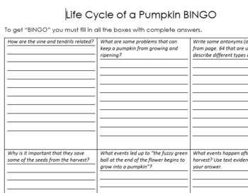 Preview of Life Cycle of a Pumpkin Bingo