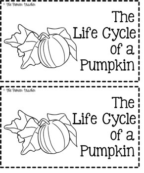 Preview of Life Cycle of a Pumpkin Booklet