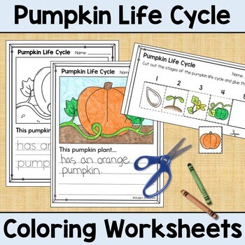 Life Cycle of a Pumpkin Coloring Worksheets | Fun Printable Science ...
