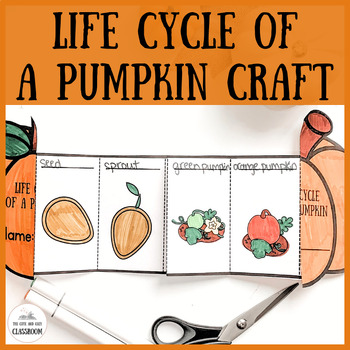 Preview of Life Cycle of a Pumpkin Craft