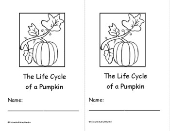 Preview of Life Cycle of a Pumpkin Emergent Reader & Worksheet - Ordinal Number Words