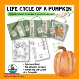 Life Cycle of a Pumpkin | Foldable Booklet