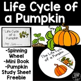 Life Cycle of a Pumpkin Freebie Pumpkin Study Halloween Freebie