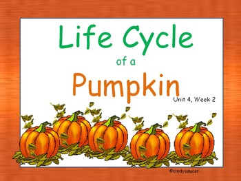 Life Cycle Of A Pumpkin Interactive Powerpoint 2nd Grade By Cindy Saucer