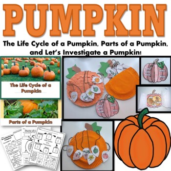 Preview of Life Cycle of a Pumpkin, Parts of a Pumpkin and Pumpkin Investigation (BUNDLE)