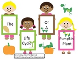 Life Cycle of a Pumpkin Plant
