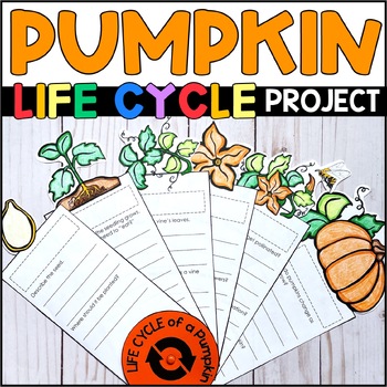Preview of Life Cycle of a Pumpkin Project - Craft - Pumpkin Research