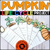 Life Cycle of a Pumpkin Project - Craft - Pumpkin Research