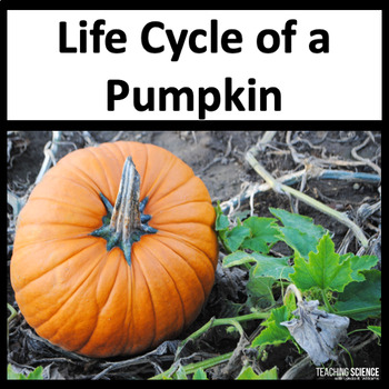 Preview of Life Cycle of a Pumpkin - Pumpkin Investigation Unit - Fall Science