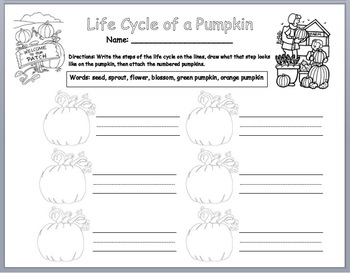 Preview of Life Cycle of a Pumpkin - Sequencing