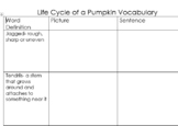 Life Cycle of a Pumpkin Vocabulary