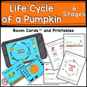Preview of Life Cycle of a Pumpkin in 6 Stages Boom™ Cards and Worksheets