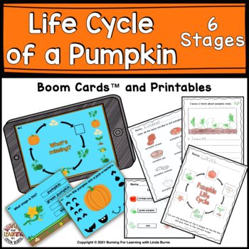 Parts of a Pumpkin Life Cycle Types and Characteristics